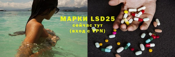 хмурый Корсаков