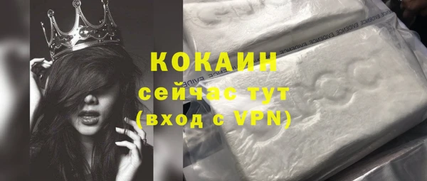 хмурый Корсаков