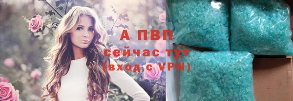 хмурый Корсаков
